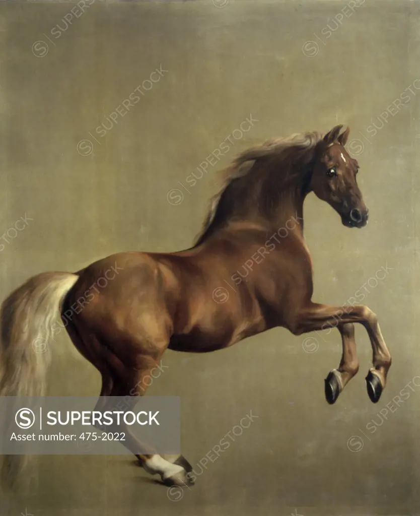 Whistlejacket 1762 George Stubbs (1724-1806 British) Oil on canvas National Gallery, London, England