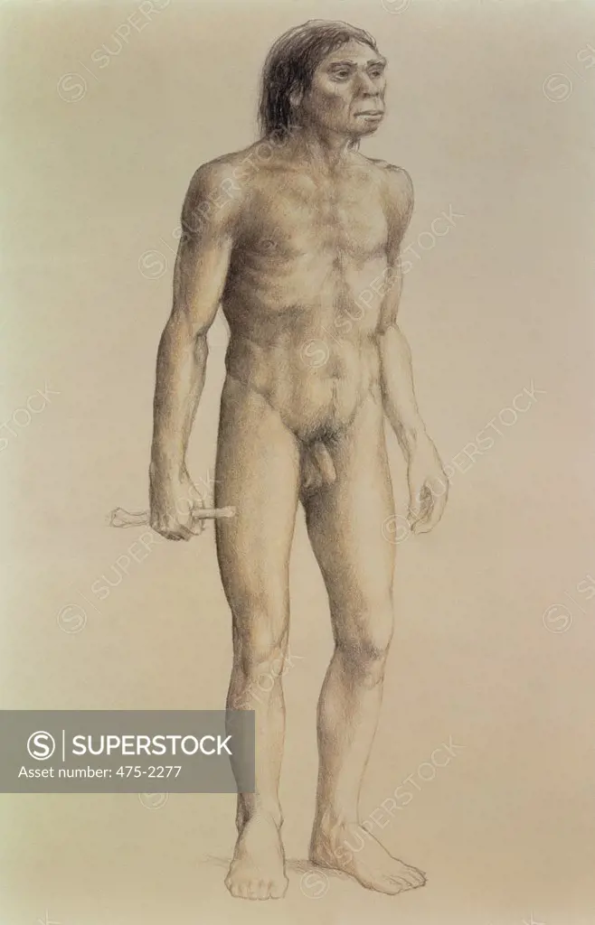 Homo Erectus 20th Century Artist Unknown Pencil on Paper Private Collection