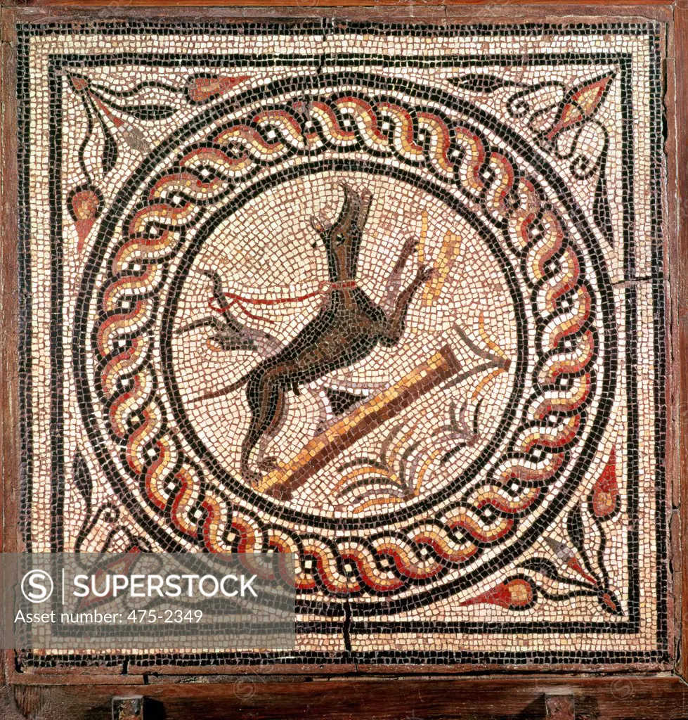 Cave Canem (Beware of the Dog) 2nd-3rd C. Roman Art Mosaic