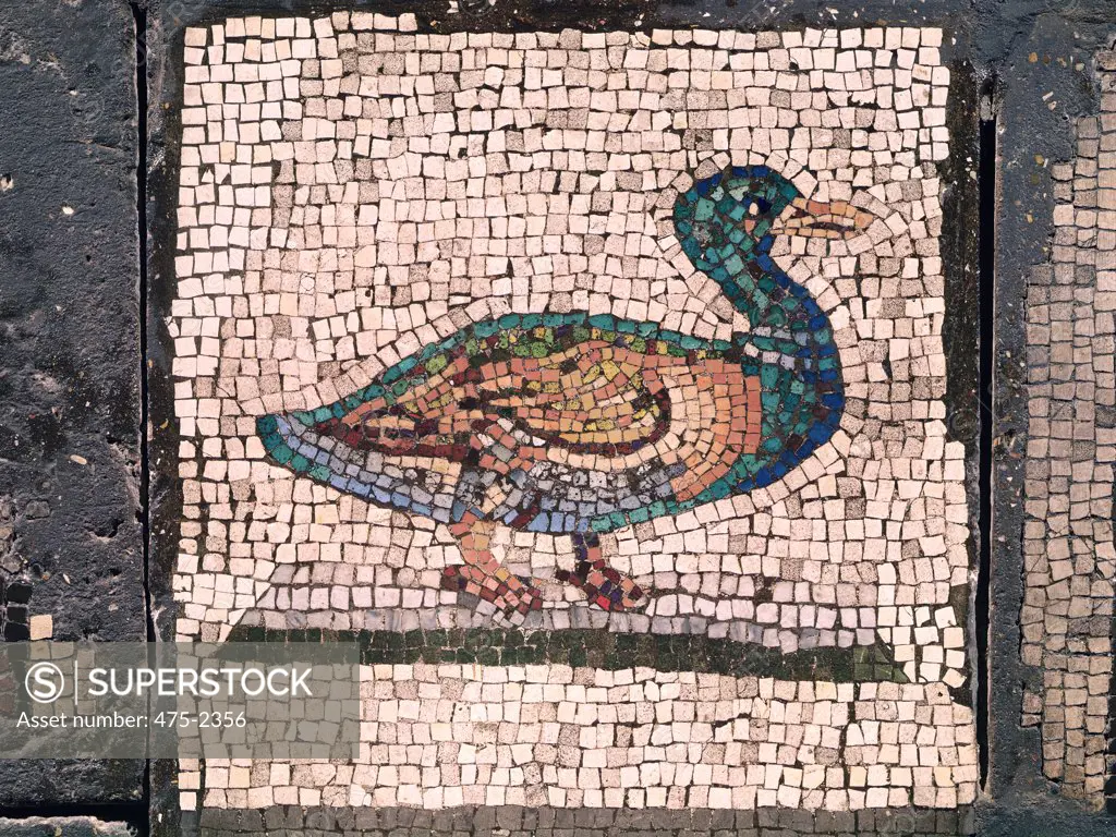 A Duck Detail from Orpheus Charming the Animals 2nd C. AD Roman Art Mosaic