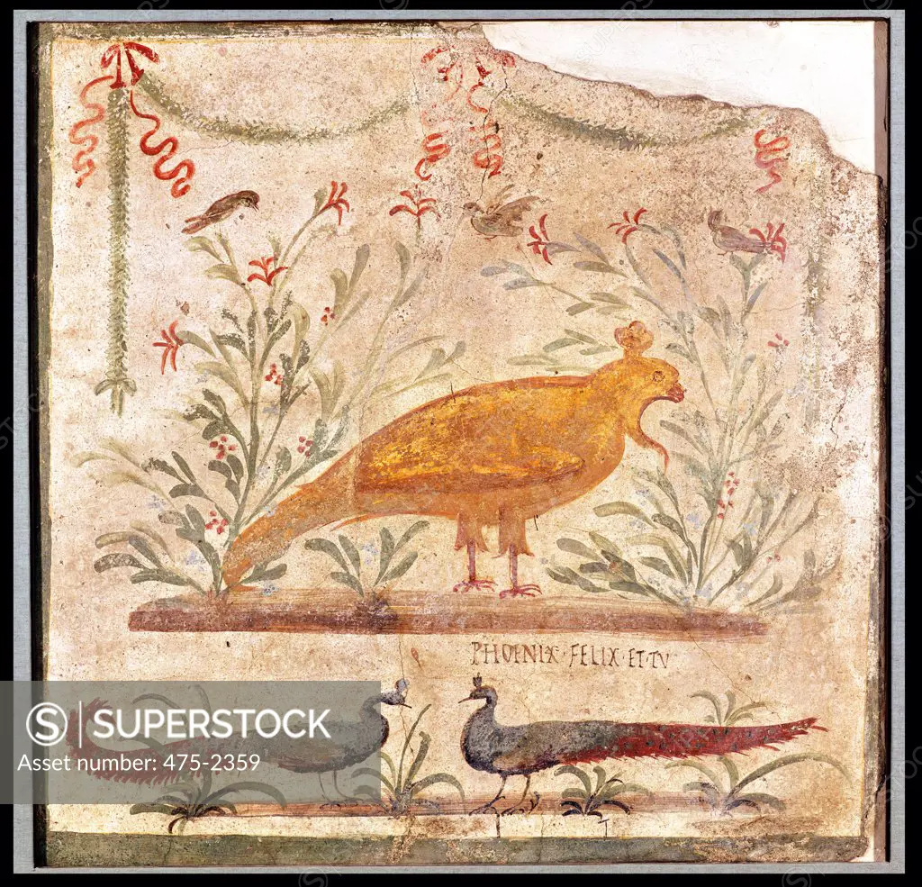 Sign For The Thermopolium (Taverna) Depicting A Phoenix And The Inscription 'Phoenix Felix Et Tu' 1 c. BC-79 AD Roman Art Fresco