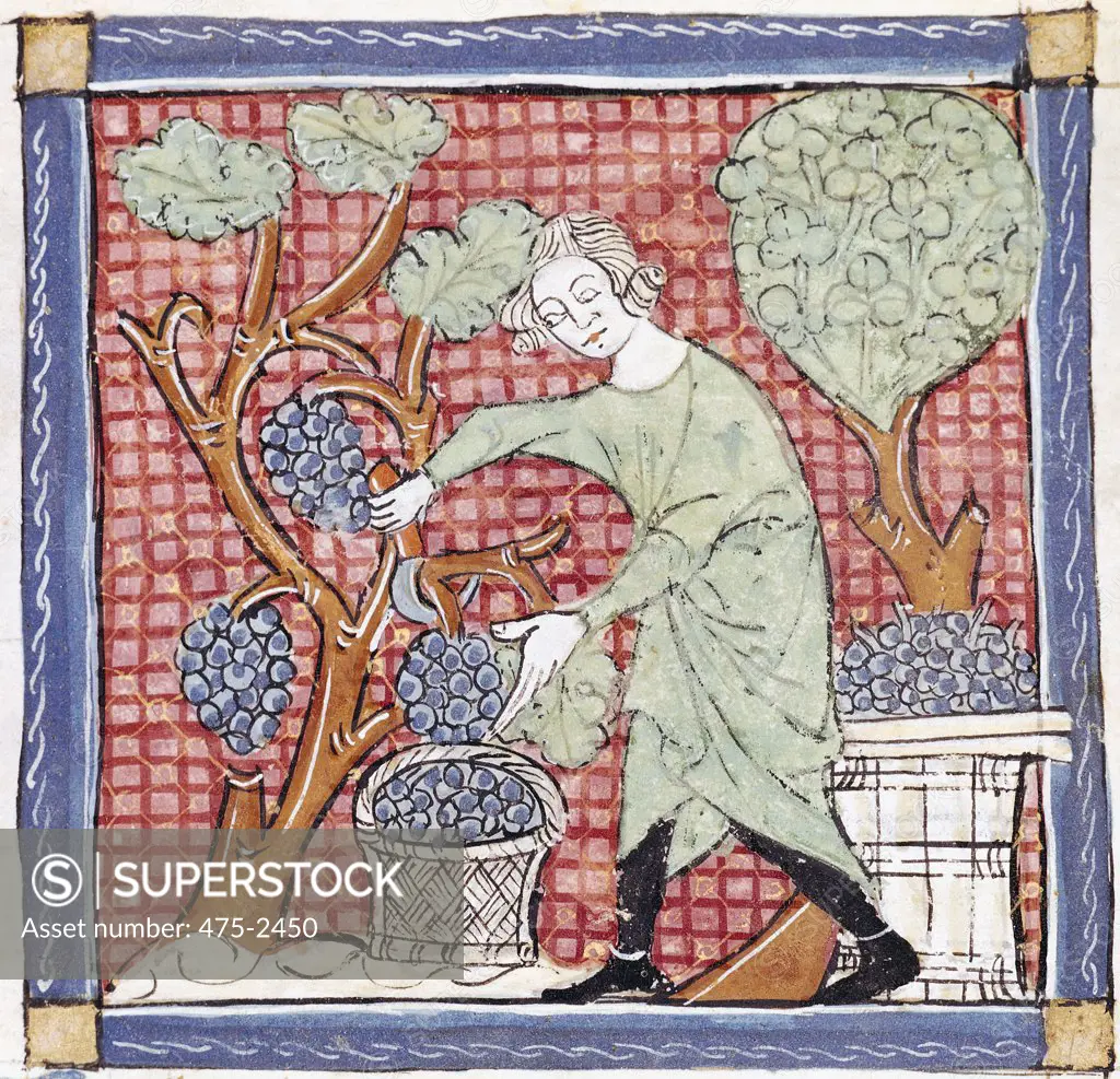 September: The Harvest  13th C. Master Ermengaut(-1322 French) Vellum Biblioteca Monasterio del Escorial, Madrid, Spain 