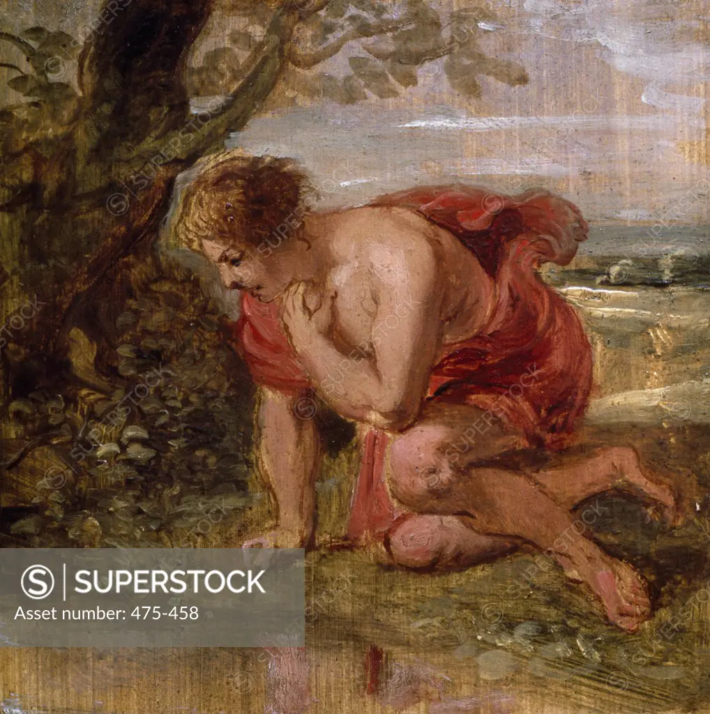 Narcissus  Peter Paul Rubens (1577-1640/Flemish)  Museum Bojimans Van Beuningen, Rotterdam, Netherlands