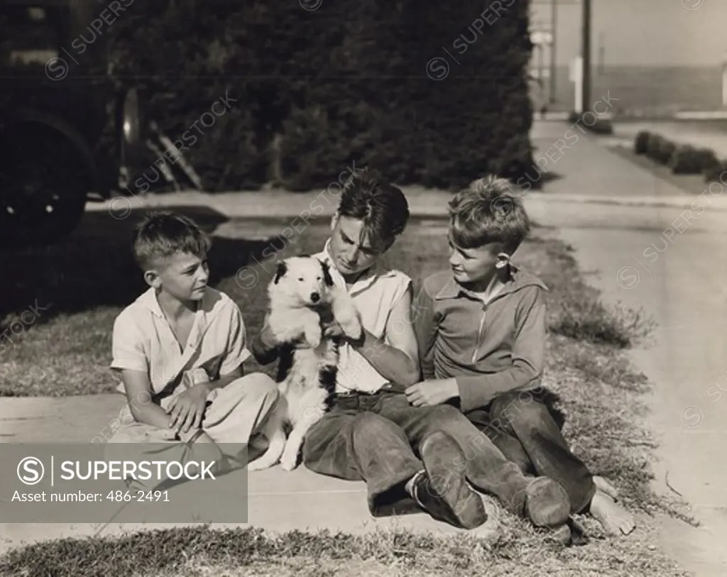 USA, California, Inglewood, Street scene with boys petting dog