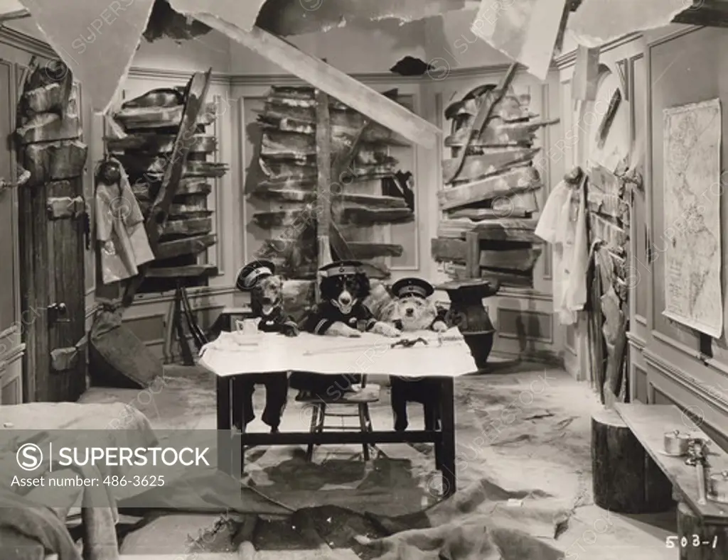 Dogs dressed up as soldiers sitting by table in ruined house