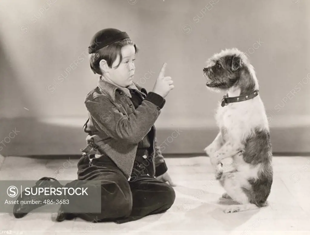 Film scene with boy training dog