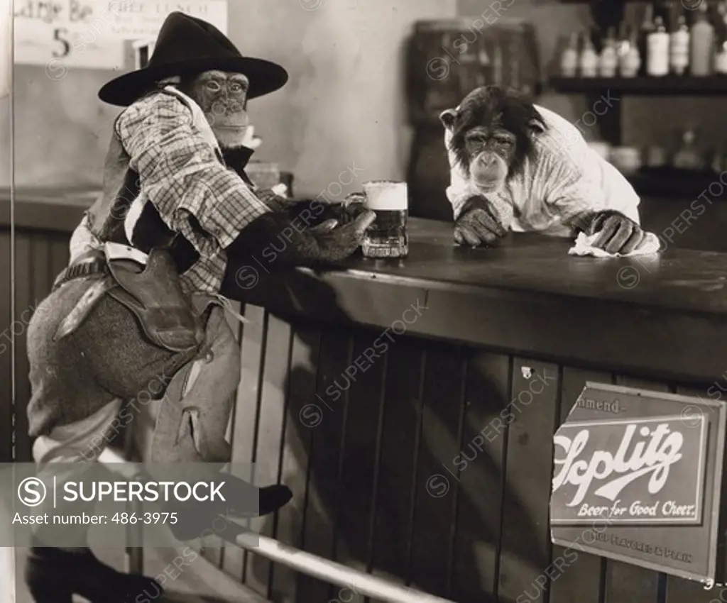 Scene from ""The Little Covered Wagon"" Tiffany chimp comedy