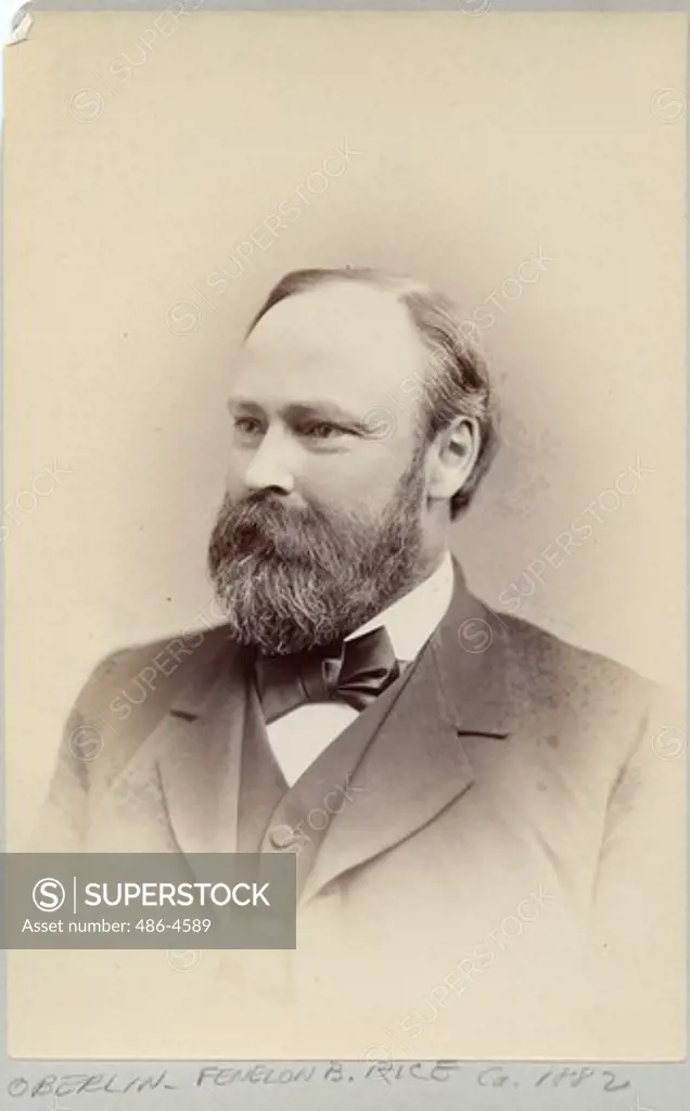 Portrait of Fenelon B. Rice, ca 1882
