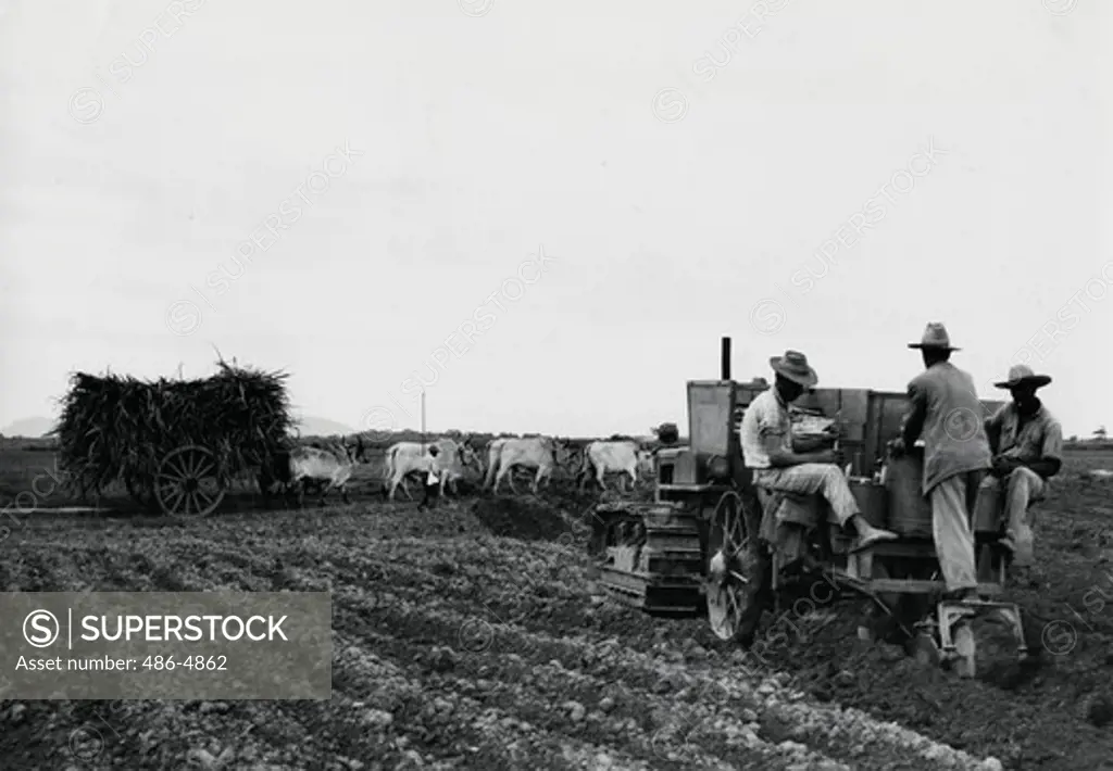 Brazil, State of Rio de Janeiro, Modern sugarcane planter pulled by tractor, old ox cart pulling ripe sugar cane