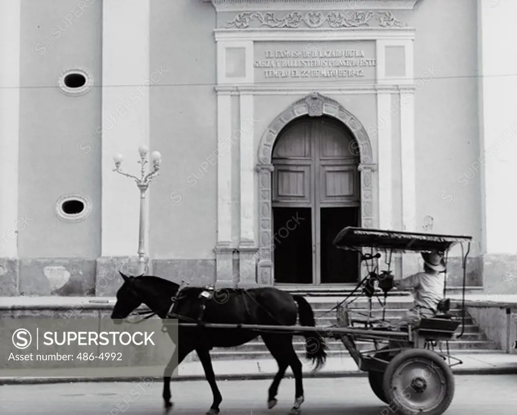 Mexico, Sinaloa, Horse pulling cart in front of cathedral