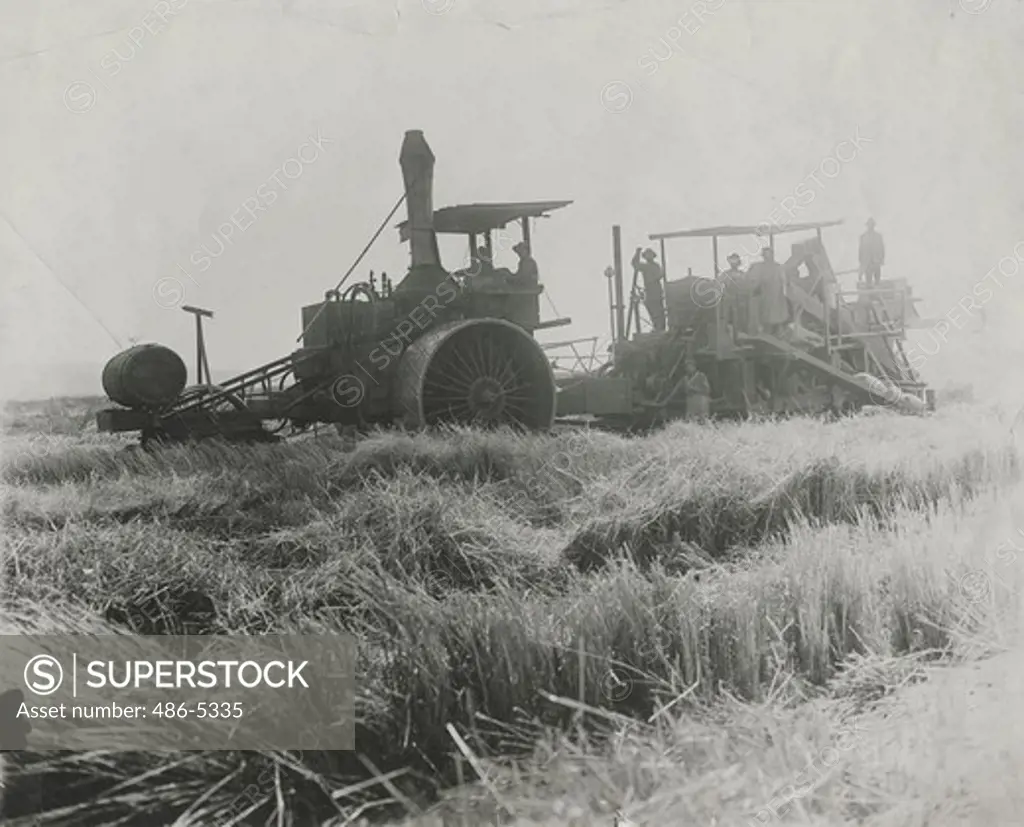 USA, California, Best steam tractor pulling best harvester, circa 1894-1900's