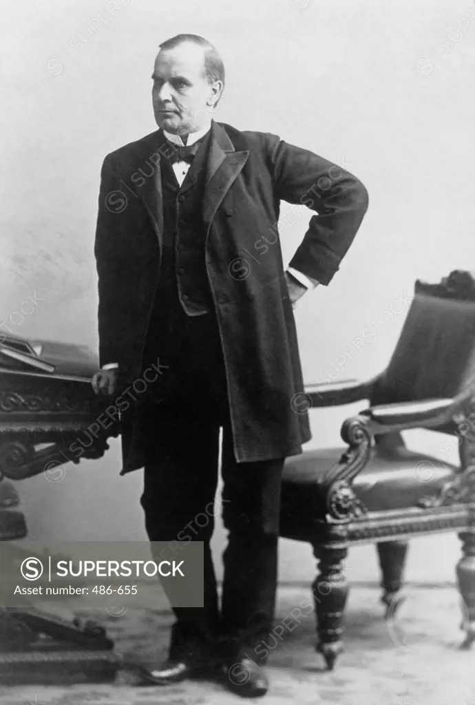 William McKinley 25th President of the United States (1843-1901)