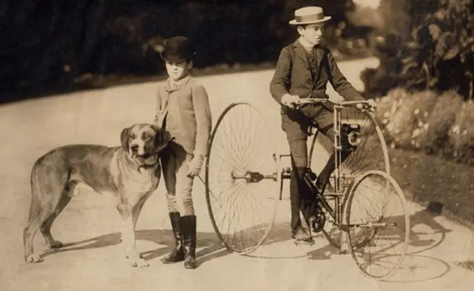Park scene with boys, dog and bicycle