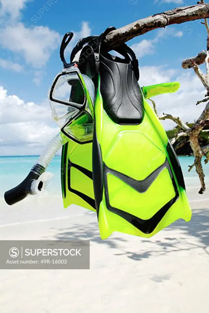 Close-up of a scuba mask and a snorkel with flippers hanging on a branch