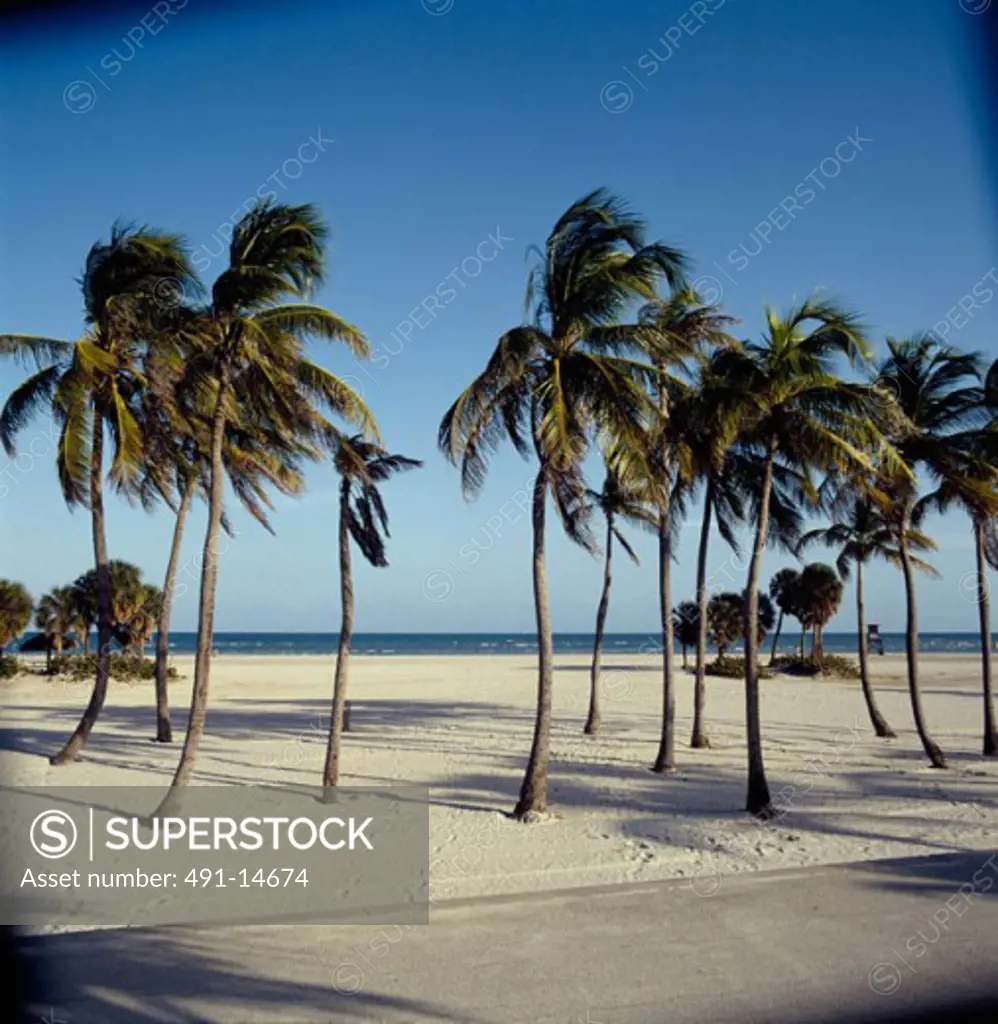Key Biscayne Beach Miami Florida USA