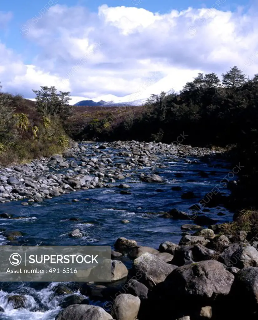 New Zealand, North Island, Mount Tongariro, Tongariro National Park, Landscape with river