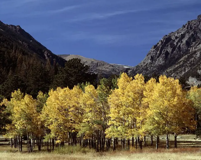 Horseshoe Park Rocky Mountain National Park Colorado USA