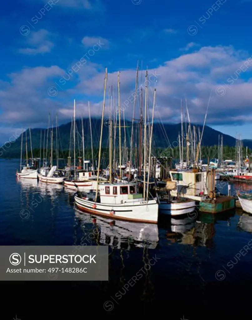 Fishing boats docked at a harbor, Tofino, British Columbia, Vancouver Island, Canada