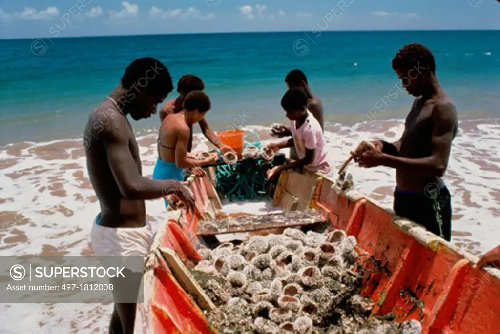 Side profile of young men and young women standing near a fishing boat, Petite Anse, Martinique