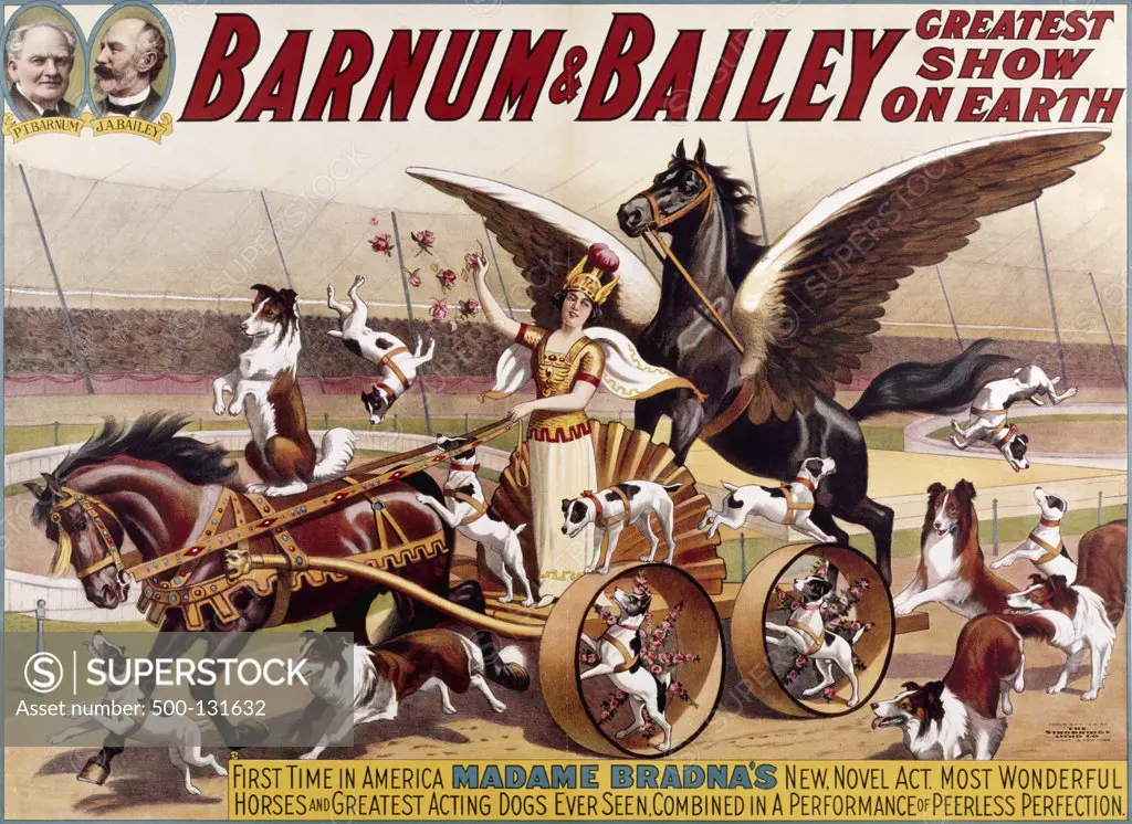 Madame Bradna's Horses and Dogs by Barnum & Bailey,  Poster,