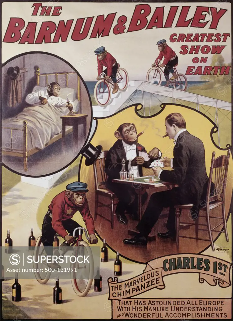 Charles 1st, The Marvelous Chimpanzee Barnum & Bailey Greatest Show on Earth Posters