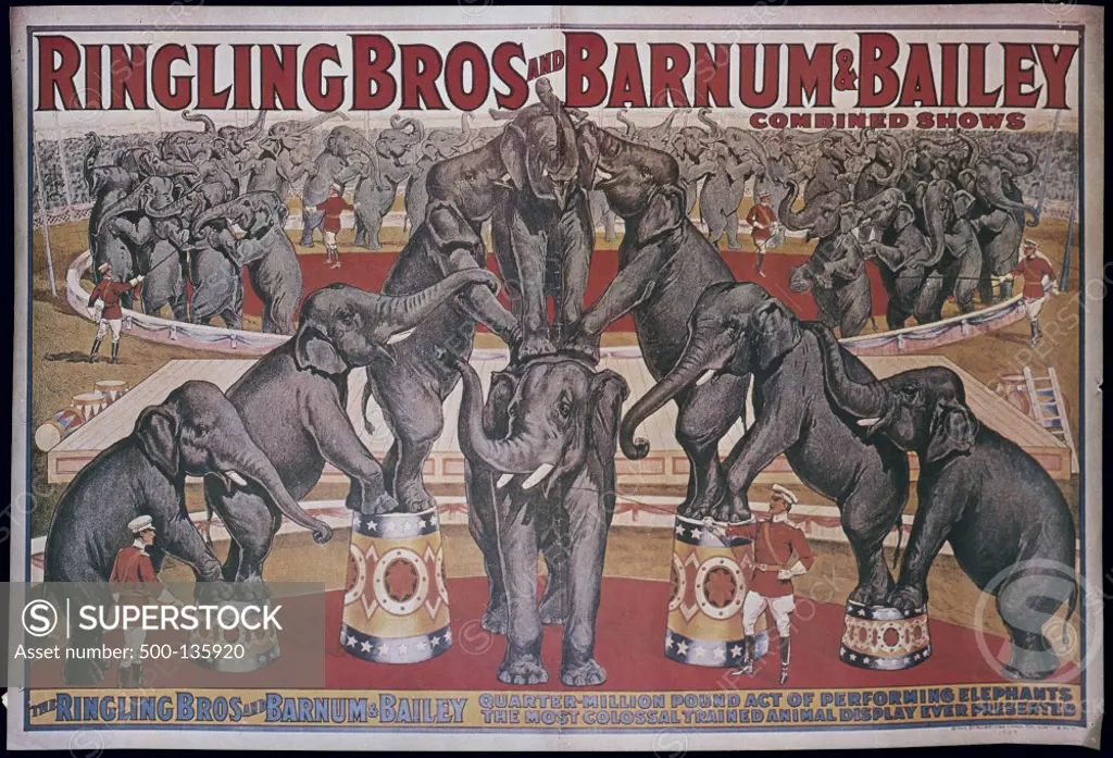 Ringling Brothers and Barnum and Bailey, performing elephants in circus, poster, Nostalgia UK, 500