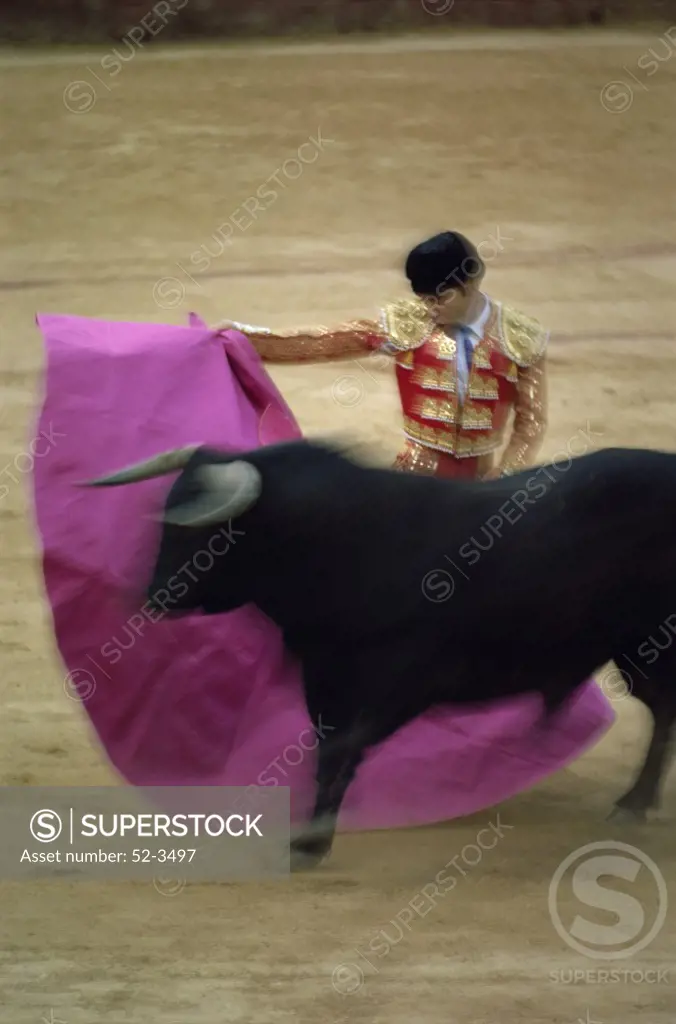 A matador and a bull at a Bullfight, Spain