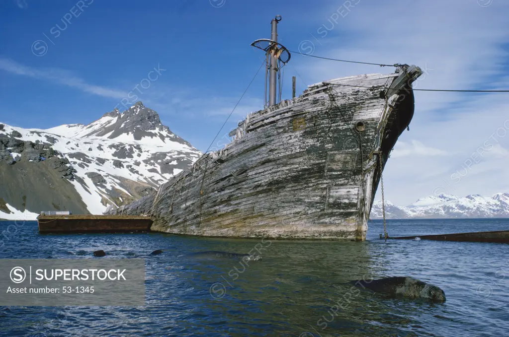 Wrecked Whaling Ship, South Georgia Island, Grytviken, Antarctica