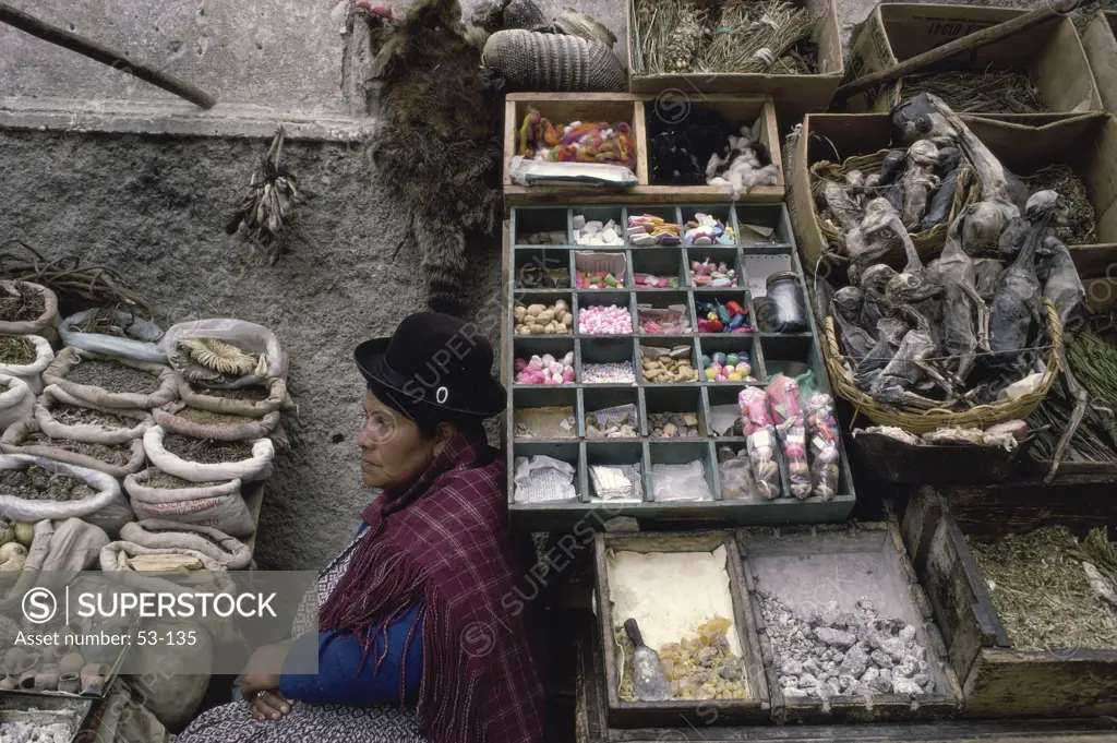 Indian Woman Market of La Paz Bolivia
