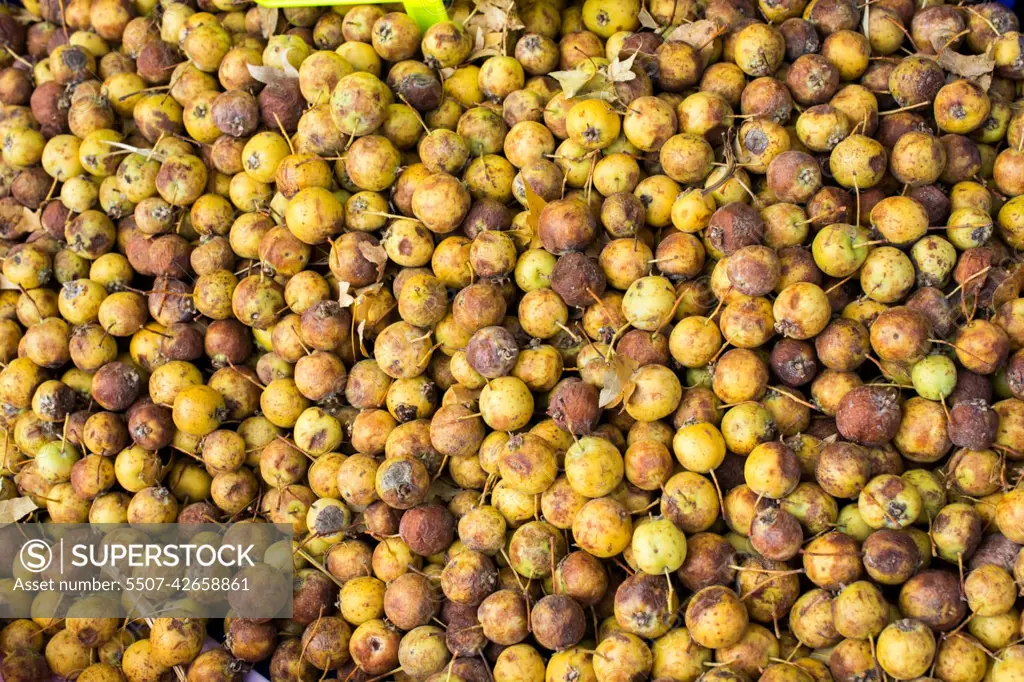 Wild fruit azarole, mediterranean medlar collected and sold in m
