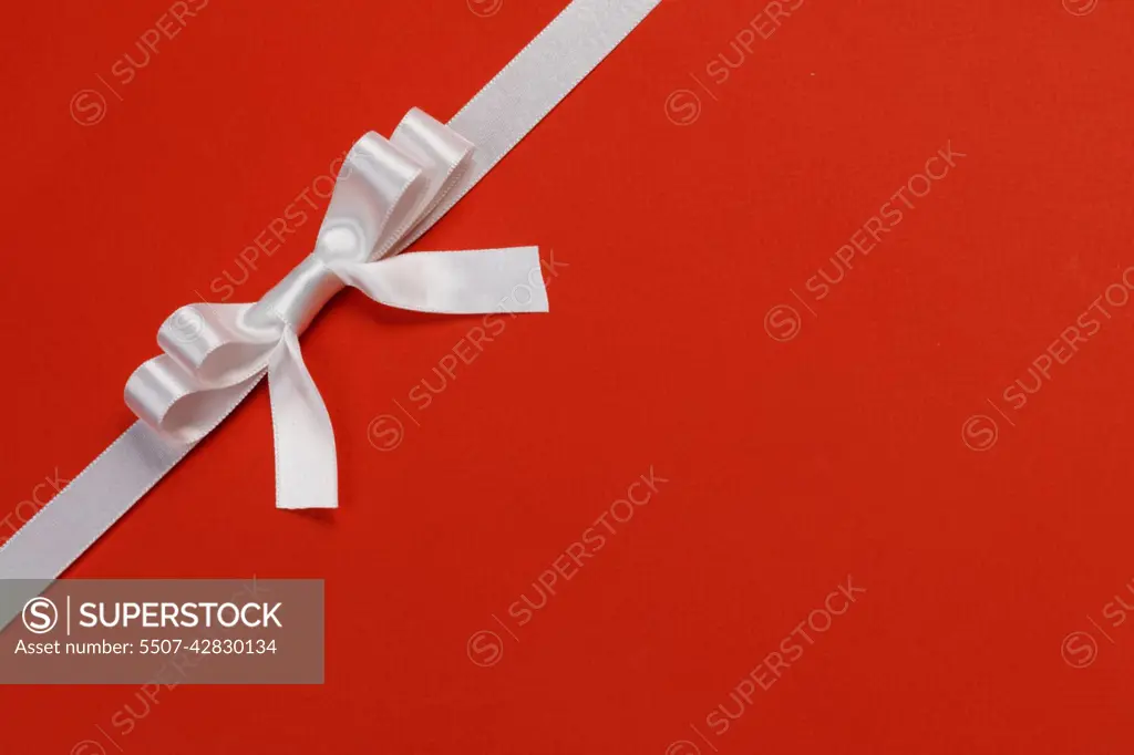 White Gift Bow