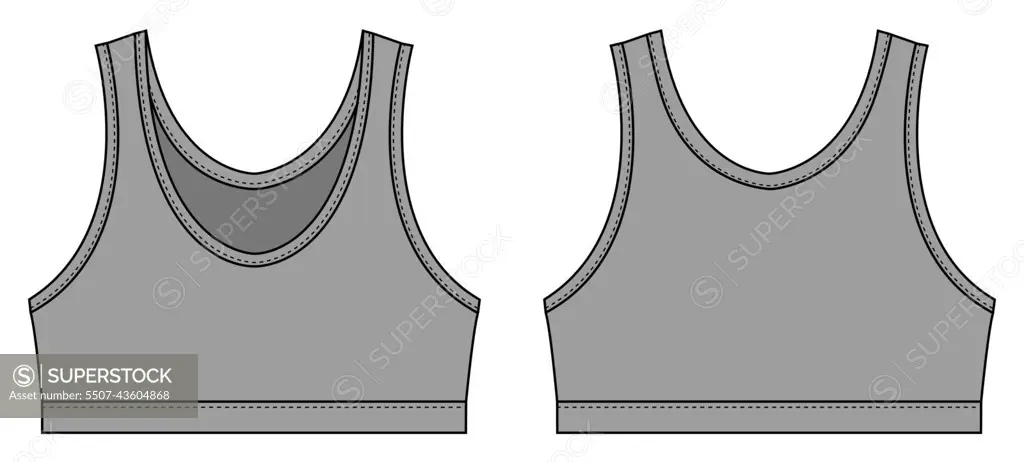 Women's sports bra template vector illustration - SuperStock