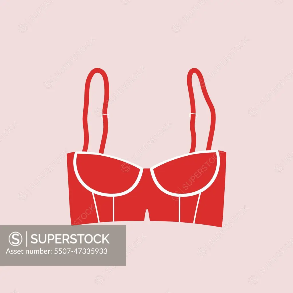 Cute female red bra. Trendy corset bra icon. Women underwear