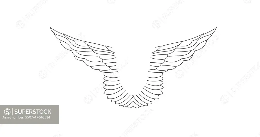 Wings of the angel icon vector. Isolated contour symbol