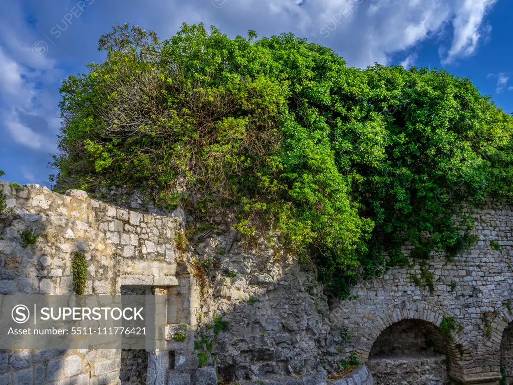 Stadtmauer am Defense Tower 1473, Obrambena Kula, Porec, Istrien, Kroatien, Europa