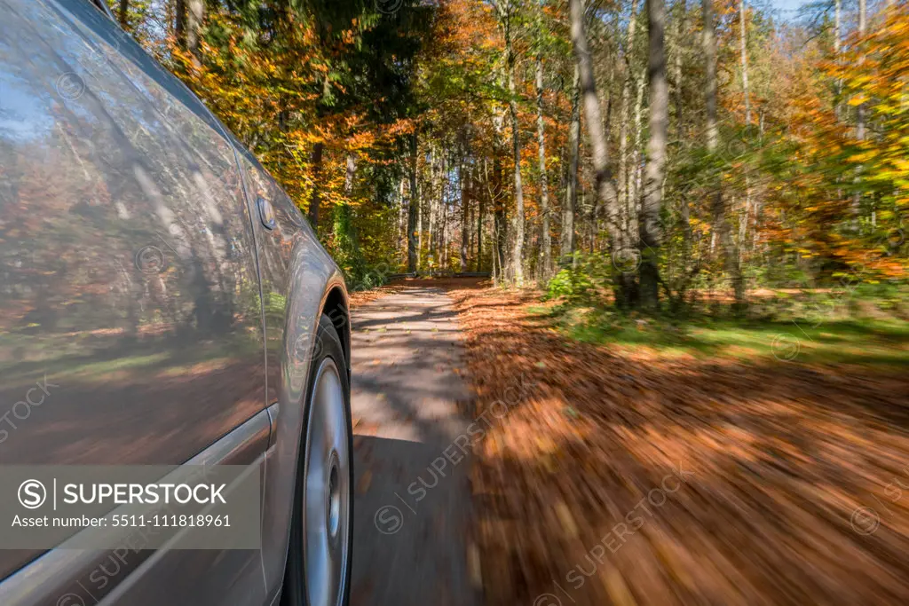 Fahren mit einem PKW auf Laub im Herbst, gefährlicher Strassenbelag, Rutschgefahr