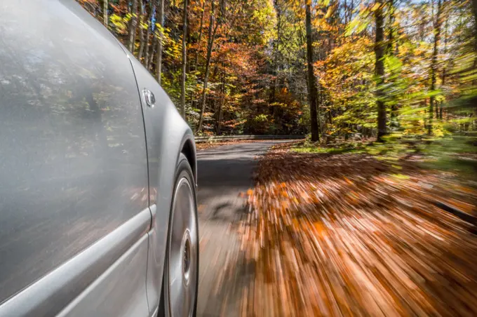 Fahren mit einem PKW auf Laub im Herbst, gefährlicher Strassenbelag, Rutschgefahr