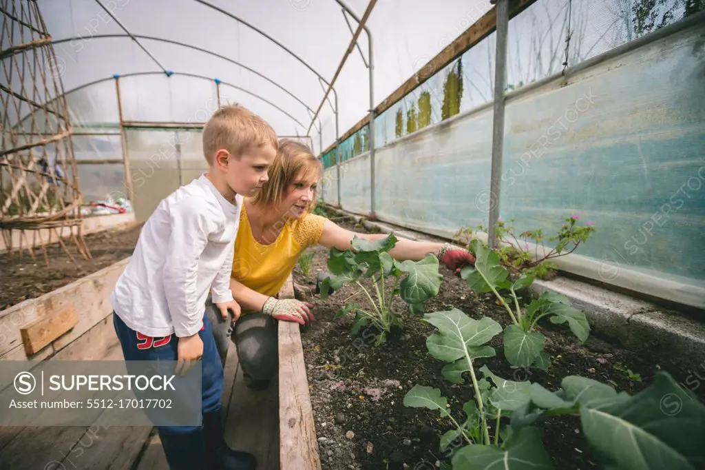 Mother and son gardening together in greenhouse