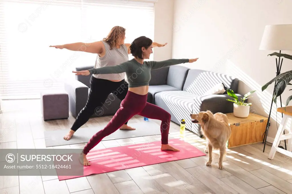 Lesbian couple practicing yoga, stretching on yoga mats. domestic lifestyle, spending free time at home.