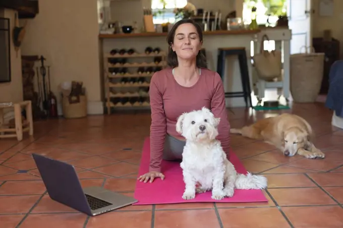 Smiling caucasian woman in living room with her pet dogs, practicing yoga, using laptop. domestic lifestyle, enjoying leisure time at home.