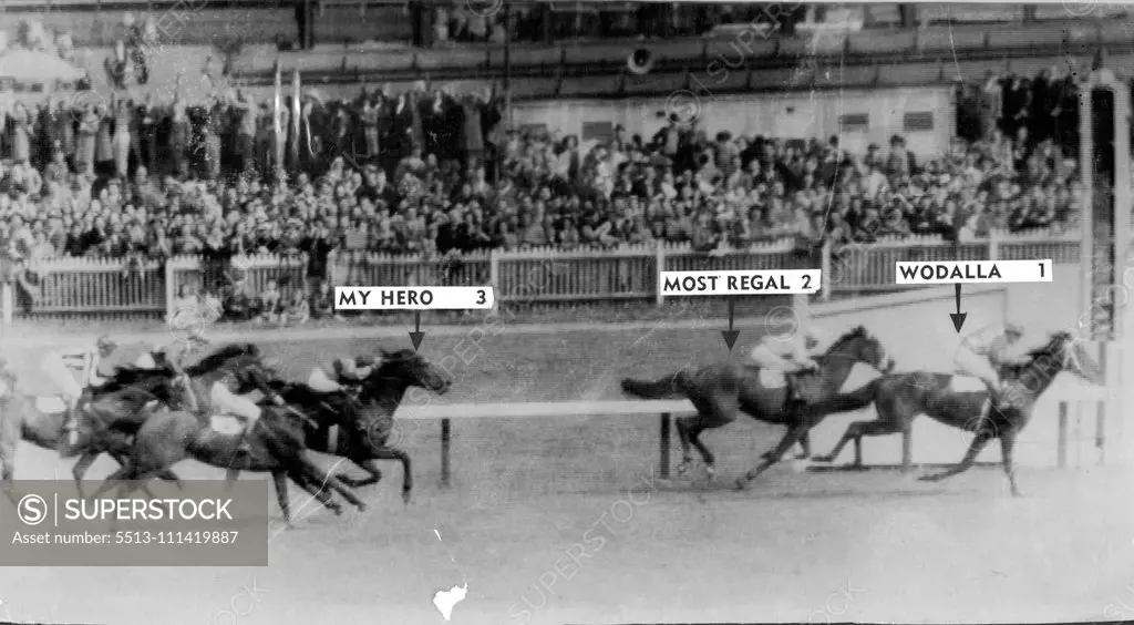 Melbourne Cup Finish. This is how Wodalla won the big race at Flemington ***** afternoon from Most Regal and My ***** Wodalla had recently won the ***** Valley Gold Cup and ran second ***** the Caulfield Cup. Picturegram. November 3, 1953.