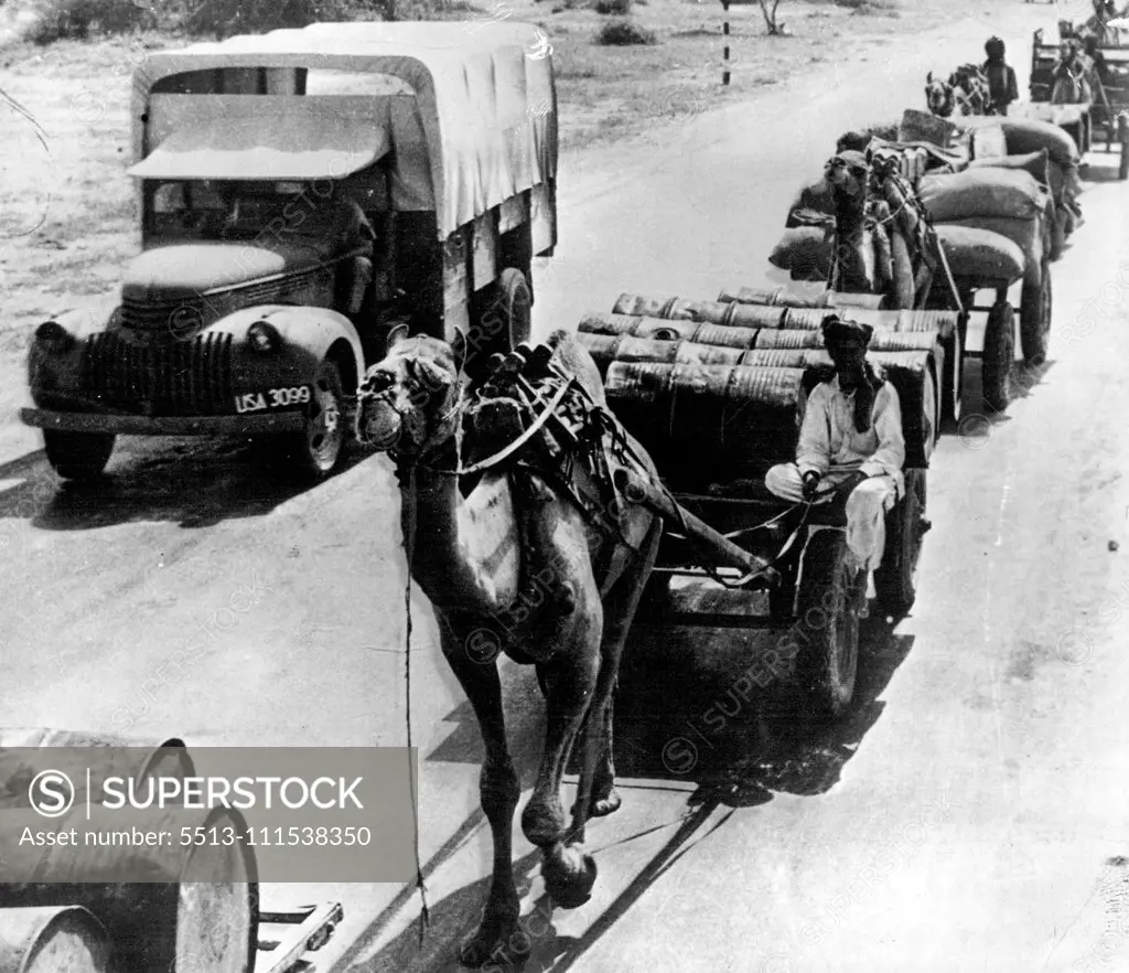 A modern truck passes a camel both ***** with materials for U.S. troops in India. January 17, 1943.