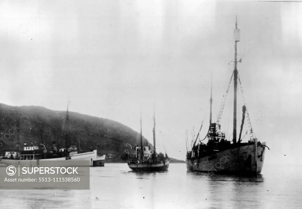 Andree's Camp on White Island: After Thirty-Three Years: The Bratvaag lying at anchor at Skjervo, on the northern coast of Norway, after the return from White Island with the relics of the Andree Expedition. On the left are two steamers Heimen and Tromso Boy, with Press representatives aboard. October 15, 1930. (Photo by The Times)