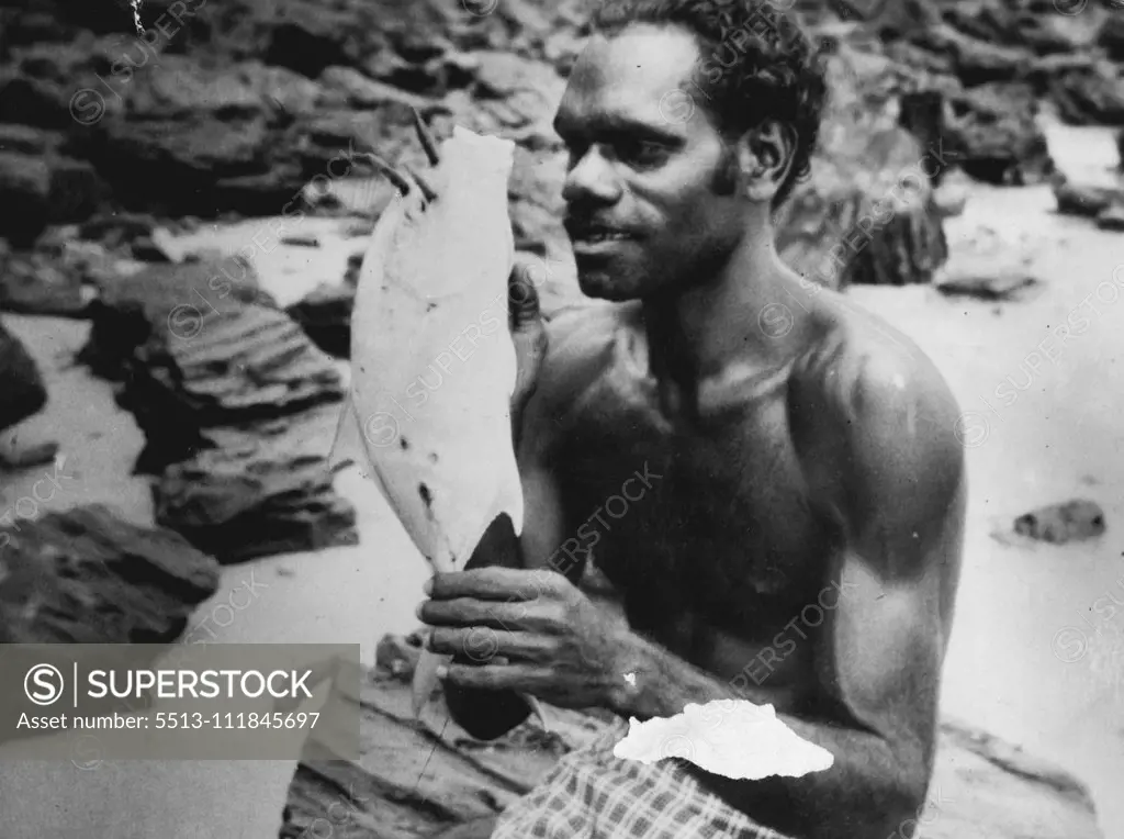 A Melville Islander with a rock fish he has Just Speared. May 11, 1955.;A Melville Islander with a rock fish he has Just Speared.
