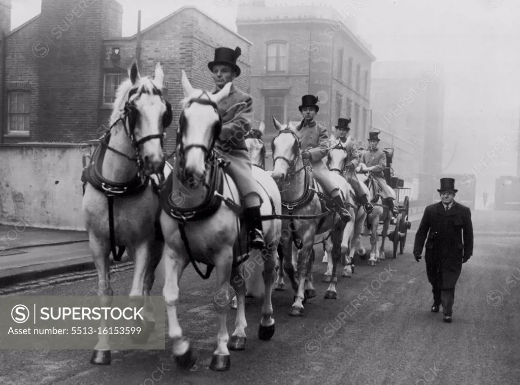 These are the horses which will pull the Queens State Coach at the Coronation and they are undergoing training to keep an even marching pace. January 15, 1953. (Photo by Daily Mail Contract Picture).