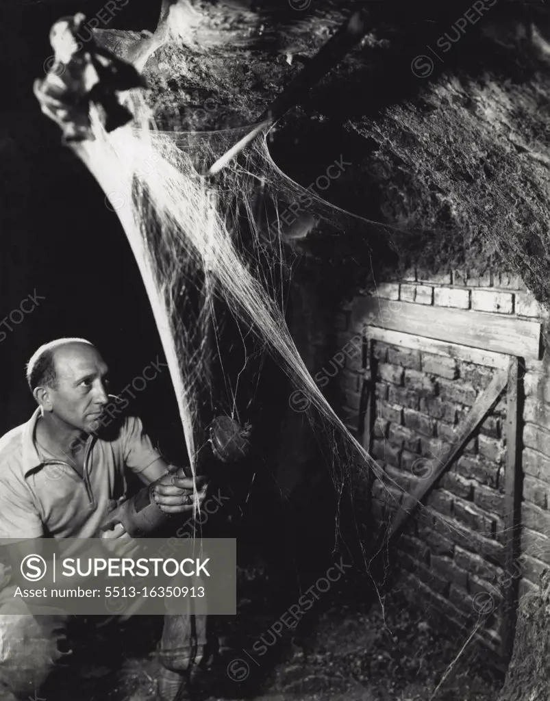 This man is known as the cobweb-maker. Here you see him at work making cobwebs in an old deserted home for a picture at 20th Century-Fox. The cobwebs are made of a from liquid rubber. March 07, 1951.