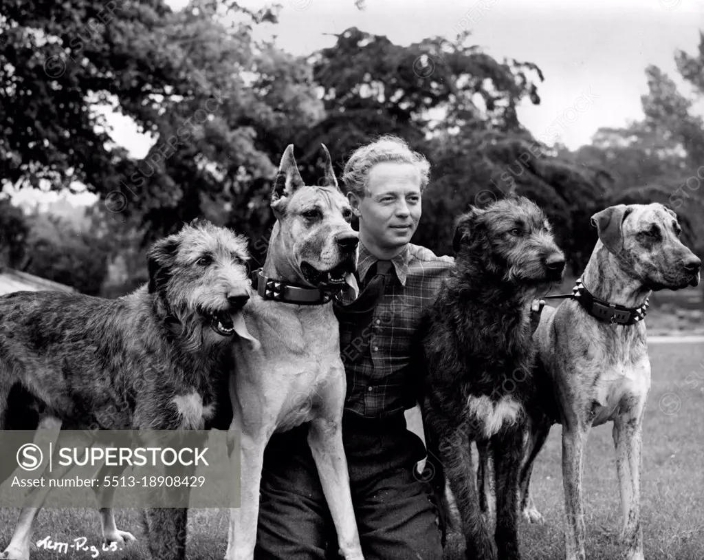 Jimmy Hanley photographer in the grounds of Denham Studios with some of the magnificent dogs owned by Mr. J.V. Rank.Directed by Jeffrey Dell at Denham, Two Cities' "It's Hard to be Good" stars Anne Crawford, Jimmy Hanley with Geoffrey Keen, Joyce Carey, Raymond Huntley i main feature roles - Associate Producer John W. Gossage. May 12, 1949.