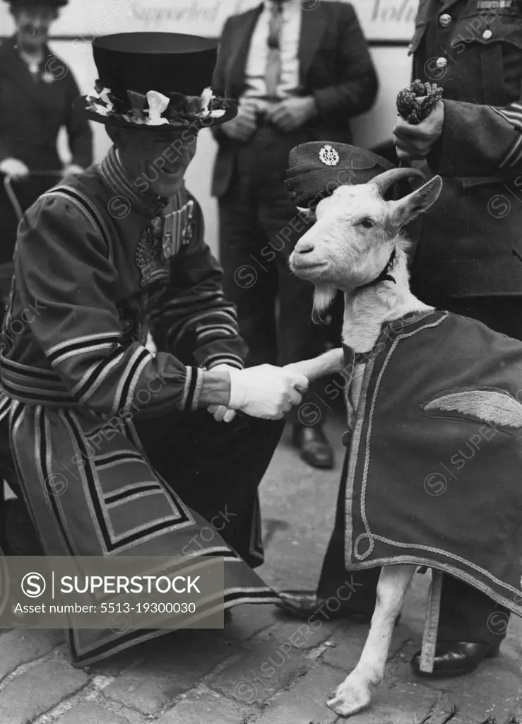 Let's Be pals - With his forage cap at the correct angle and a saucy look in his eye, Lewis II, is welcomed by Yeoman warder ***** before taking up his duties at the tower of London where he will help Lewis 1, a famous RAF Mascot goat, to collect funds for the allied forces War memorial fund for animals. August 04, 1948. (Photo by Reuterphoto).