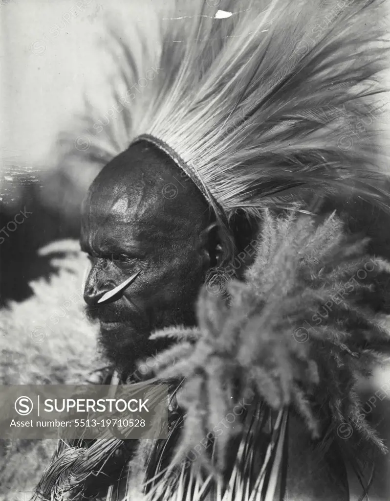 Fine feathers make fine birds. A very fashionable member of the Moorhead River (Western Papua) younger set wearing his plumes of the raggiana paradise bird. October 01, 1938.