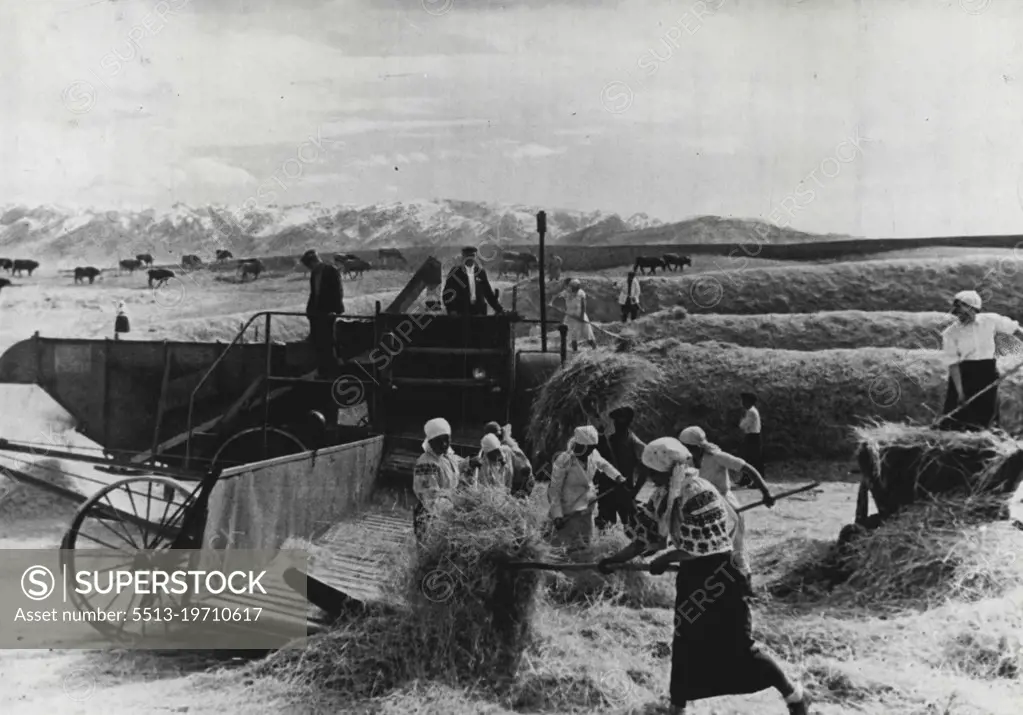 Soviet Kazakhstan -- Threshing Wheat Crops at the Stalin Collective Farm in the Taldy-Kurgan Region. - throughout Kazakhstan there are almost 7,000 collective farms and 363 machine and tractor stations. These stations lend out 24,000 tractors and 12,000 harvester combines as well as other agricultural machinery to the farms around. - much agriculture, however, is still carried on without much mechanical aid.Russia must import grain. Collective farming is a failure. March 24, 1948. (Photo by Pictorial Press).